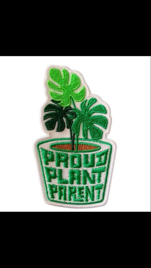 Breathe life into your space with the lush and serene presence of houseplants, turning your home into a tranquil oasis. Indoor plants not only enhance aesthetic appeal with their vibrant green hues, but they also contribute to a healthier living environment by purifying the air and boosting mood and productivity. Whether you're a seasoned plant enthusiast or just starting your journey into the world of gardening, incorporating greenery into your surroundings fosters a connection with nature and offers a rewarding experience. Each plant provides its own unique charm, creating a peaceful ambiance and inviting warmth into any room. For those looking to expand their botanical collection or learn how to care for plants, explore workshops and classes offered by local nurseries or online platforms. These resources can offer expert advice and tips for nurturing thriving plants. Join them to deepen your understanding of plant care, connect with fellow plant lovers, and transform your space into a beautiful green sanctuary. Discover the joy and fulfillment that comes with cultivating a garden of your own, one leaf at a time. Media Credit: Sojourner Marable Grimmett